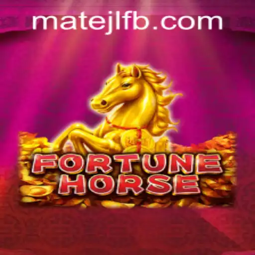 Discover the Thrills of 