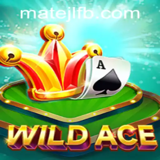 Experience the Thrill of WildAce at MateJL Casino